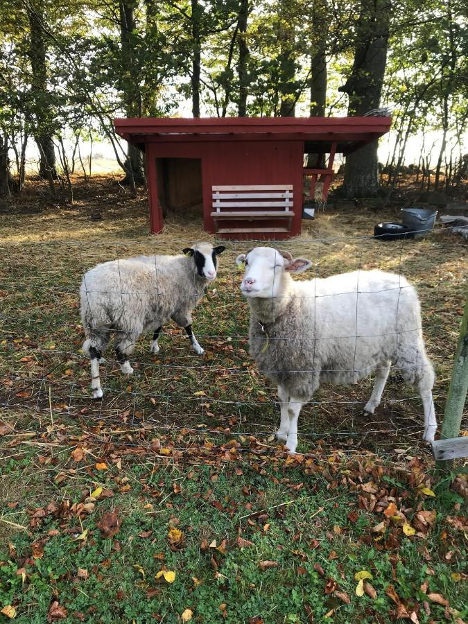 Rosloevs Gard Vackert Boende I En Naturskoen Miljoe. Flyinge Esterno foto