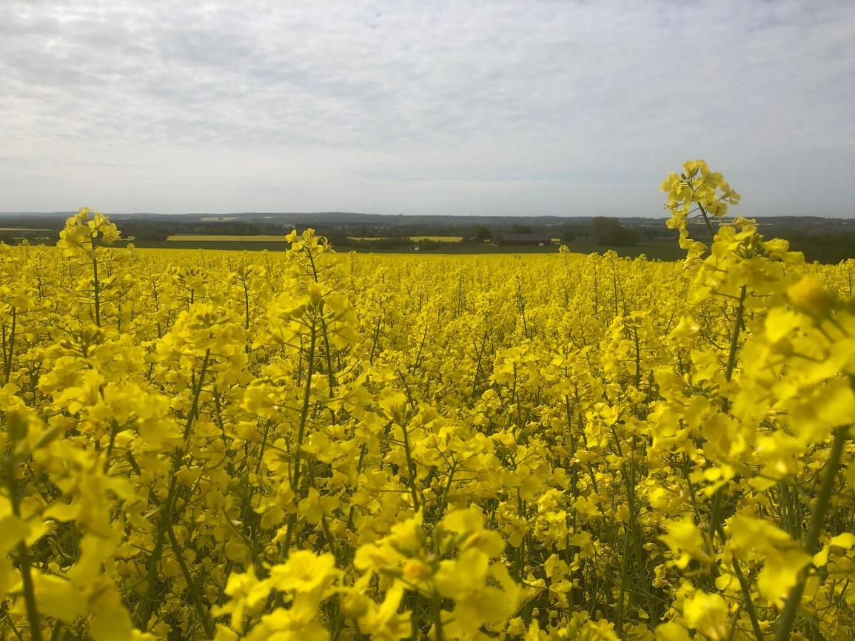 Rosloevs Gard Vackert Boende I En Naturskoen Miljoe. Flyinge Esterno foto