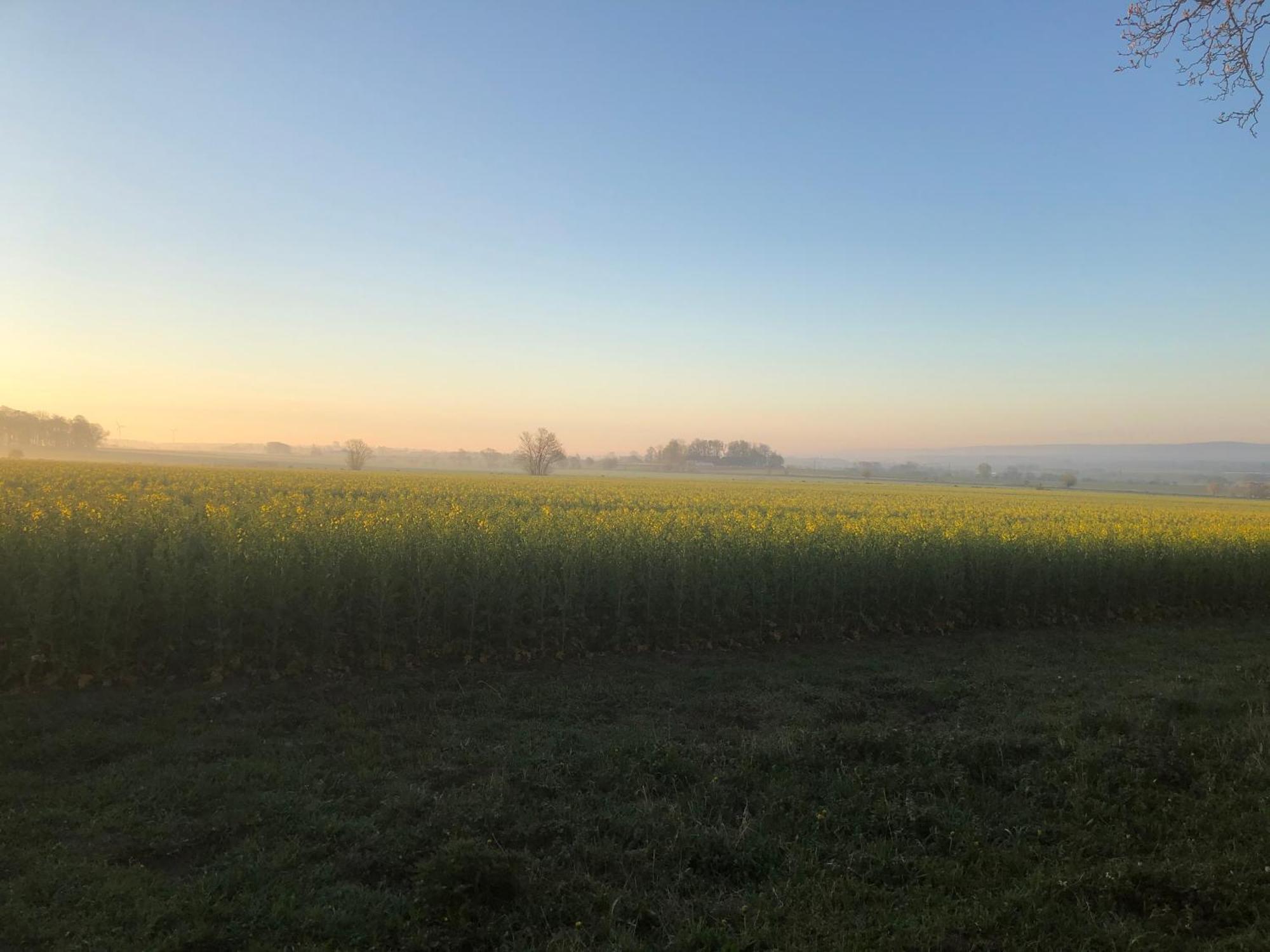 Rosloevs Gard Vackert Boende I En Naturskoen Miljoe. Flyinge Esterno foto